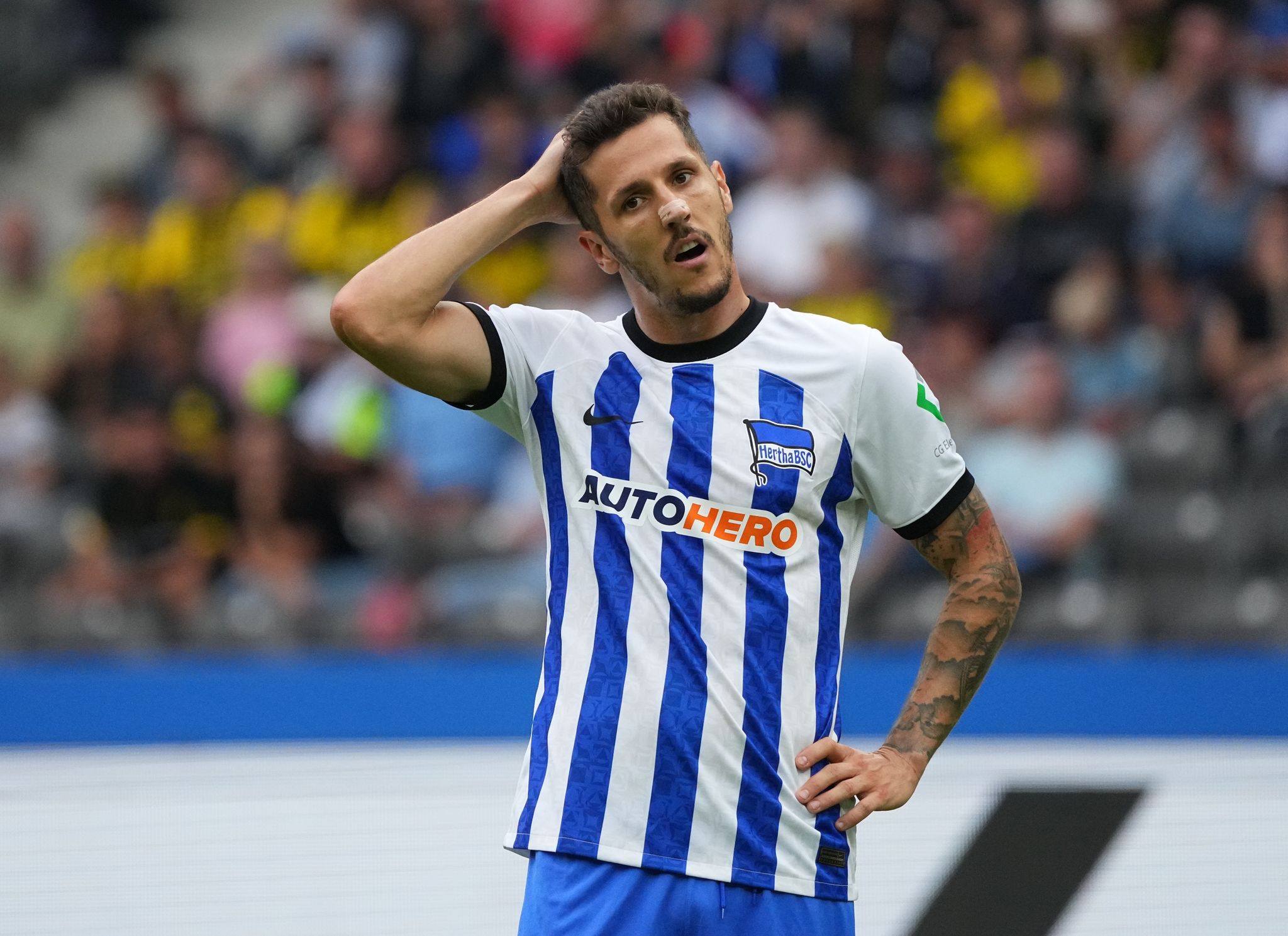Hertha muss auf Niederlechner und Jovetic verzichten