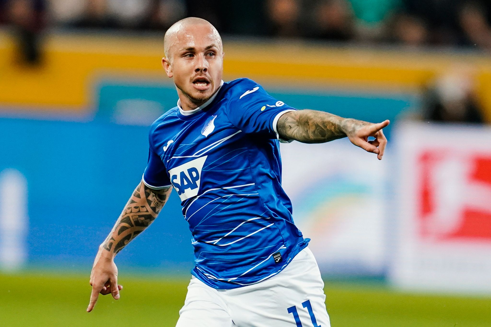 RB-Leihgabe Angeliño fühlt sich bei Hoffenheim wohl