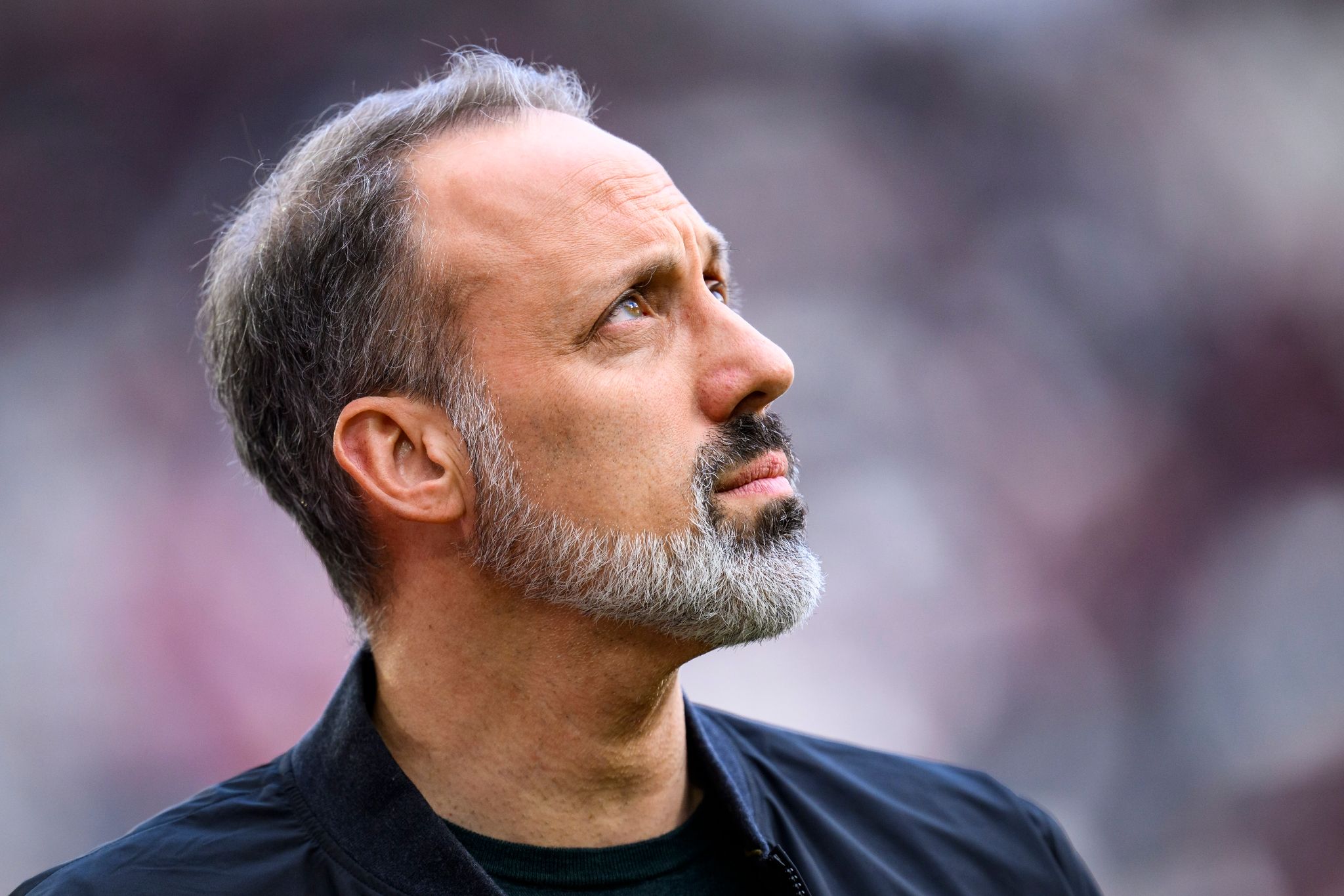 Matarazzo bei Hoffenheim: «Spüre vollstes Vertrauen»