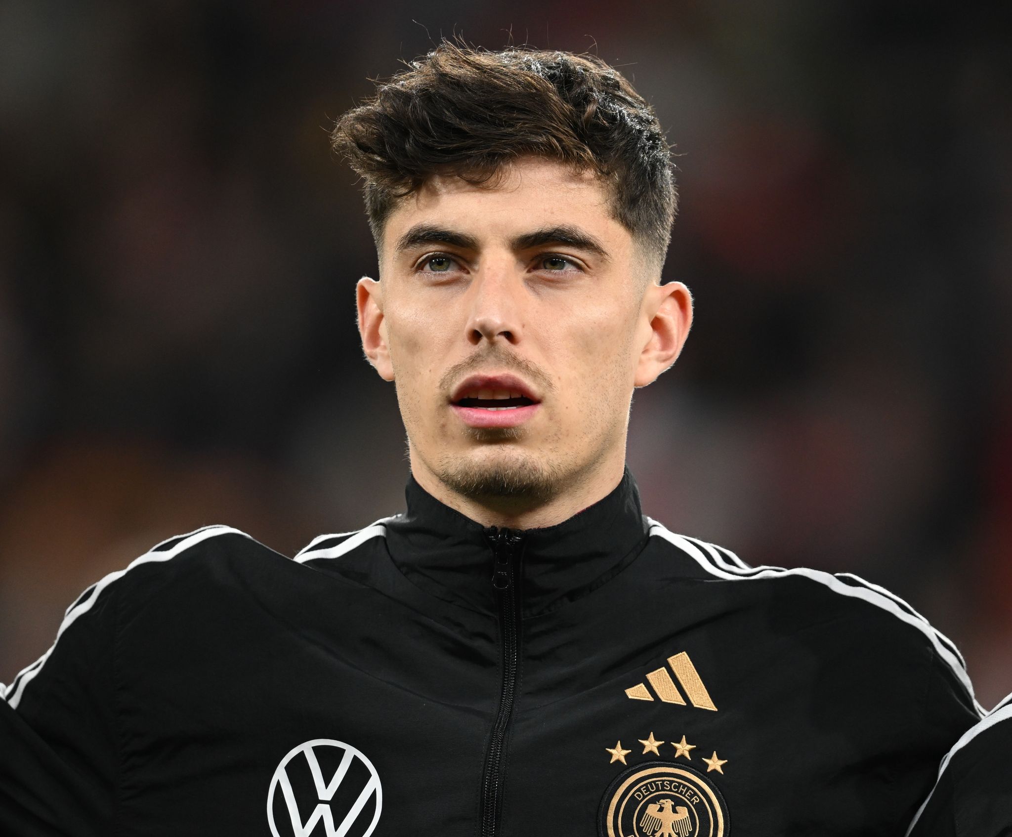 Havertz Patenschaft für drei Esel erdet Nationalspieler