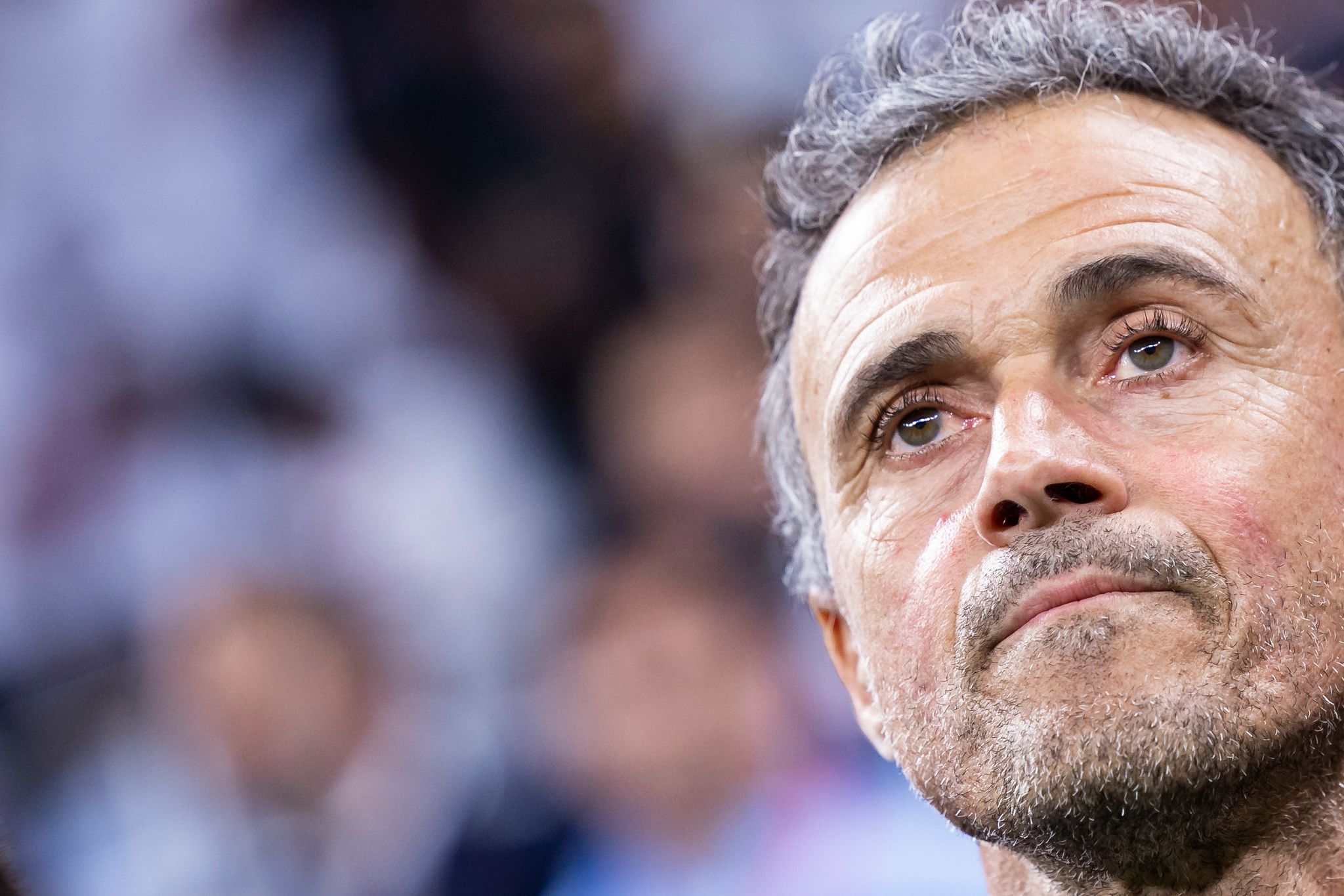 Medien: Luis Enrique verhandelt mit Chelsea-Boss