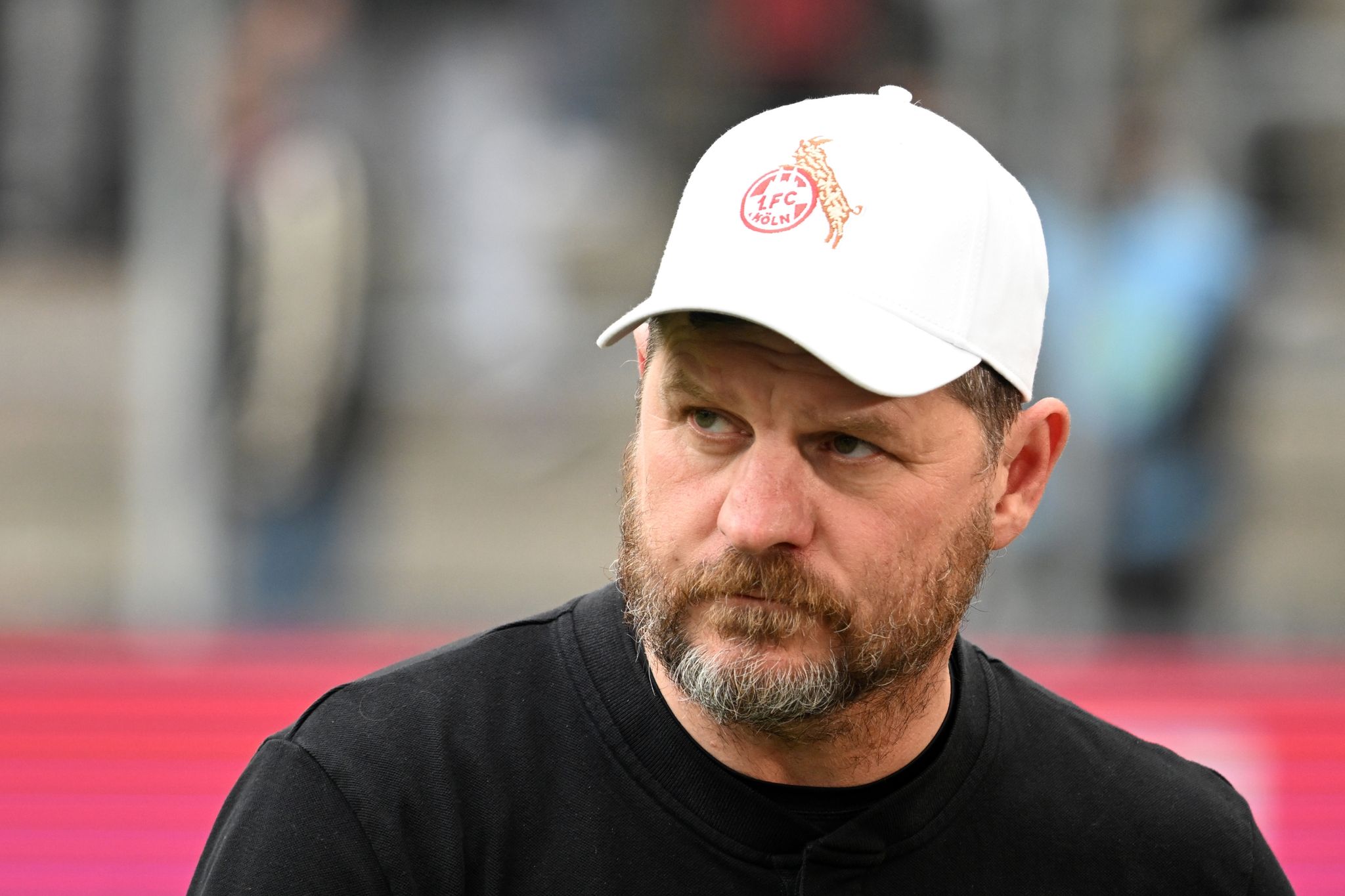 Köln-Coach Baumgart: Hertha-Abstieg wäre eine «Katastrophe»