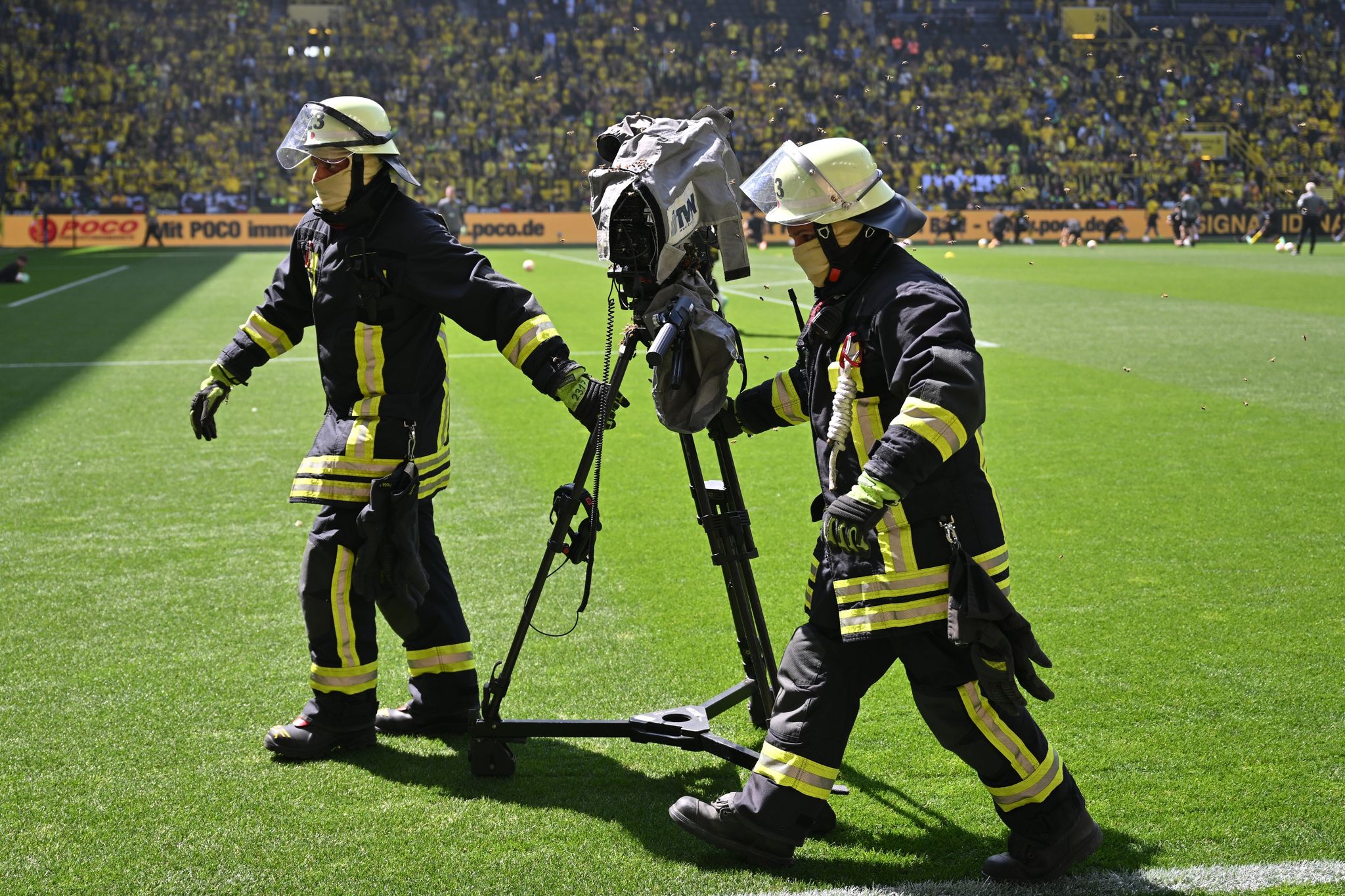 Bienenschwarm: Feuerwehr-Einsatz beim BVB