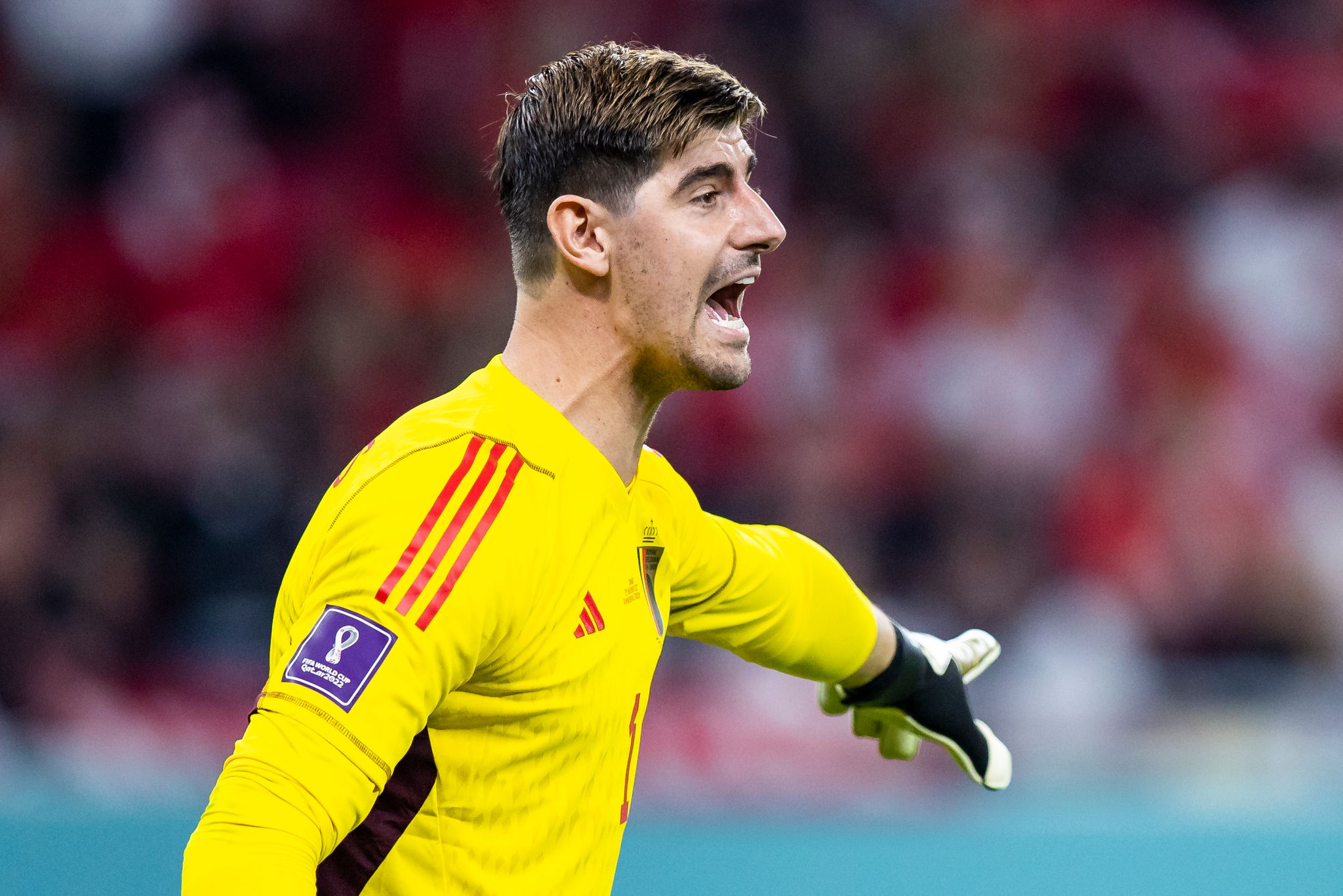Belgiens Keeper Courtois widerspricht Trainer Tedesco