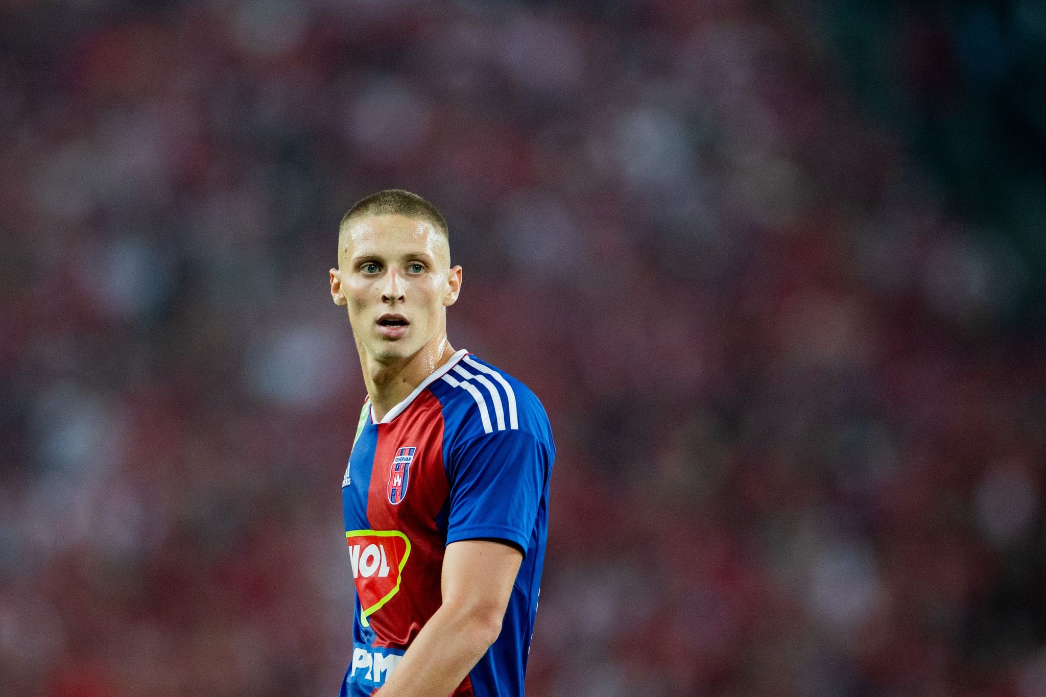 Hertha hat Interesse an Rückkehr von Palko Dardai