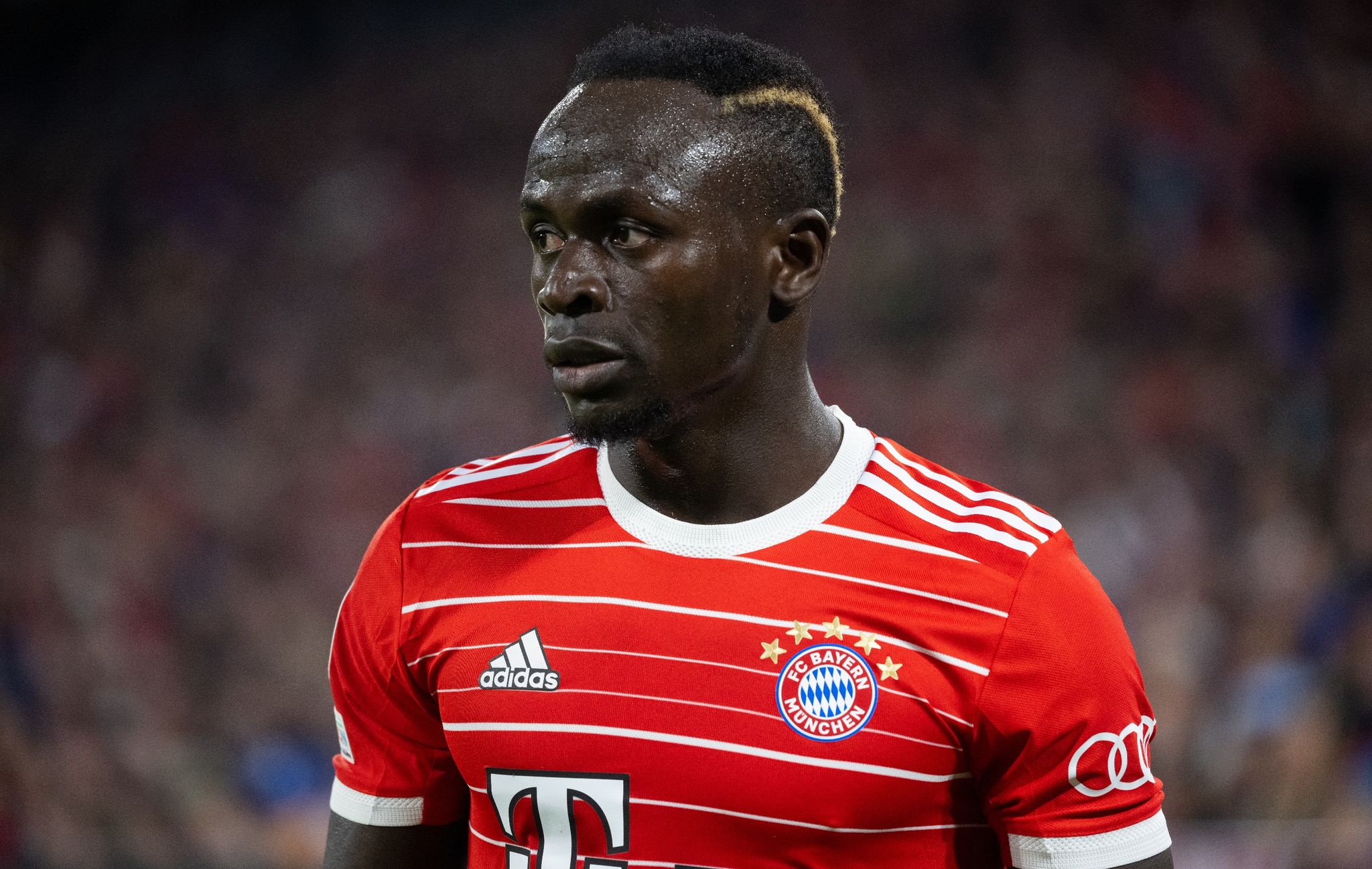 Tuchel staunt über saudischen «Goldrausch» – Mané-Lösung
