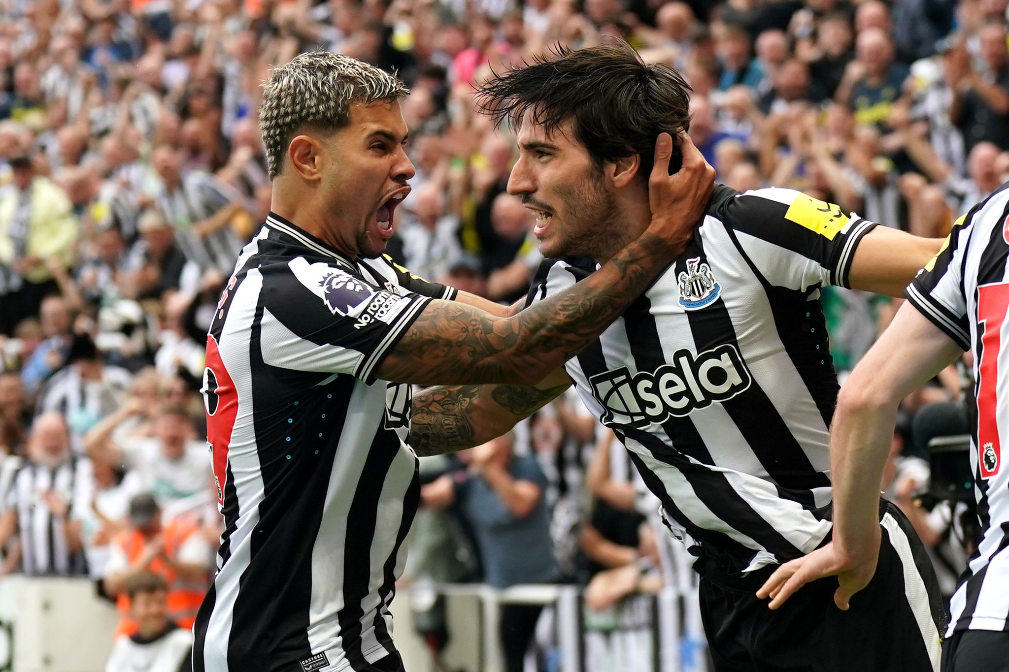 Newcastle-Trainer setzt trotz Wettskandal auf Tonali