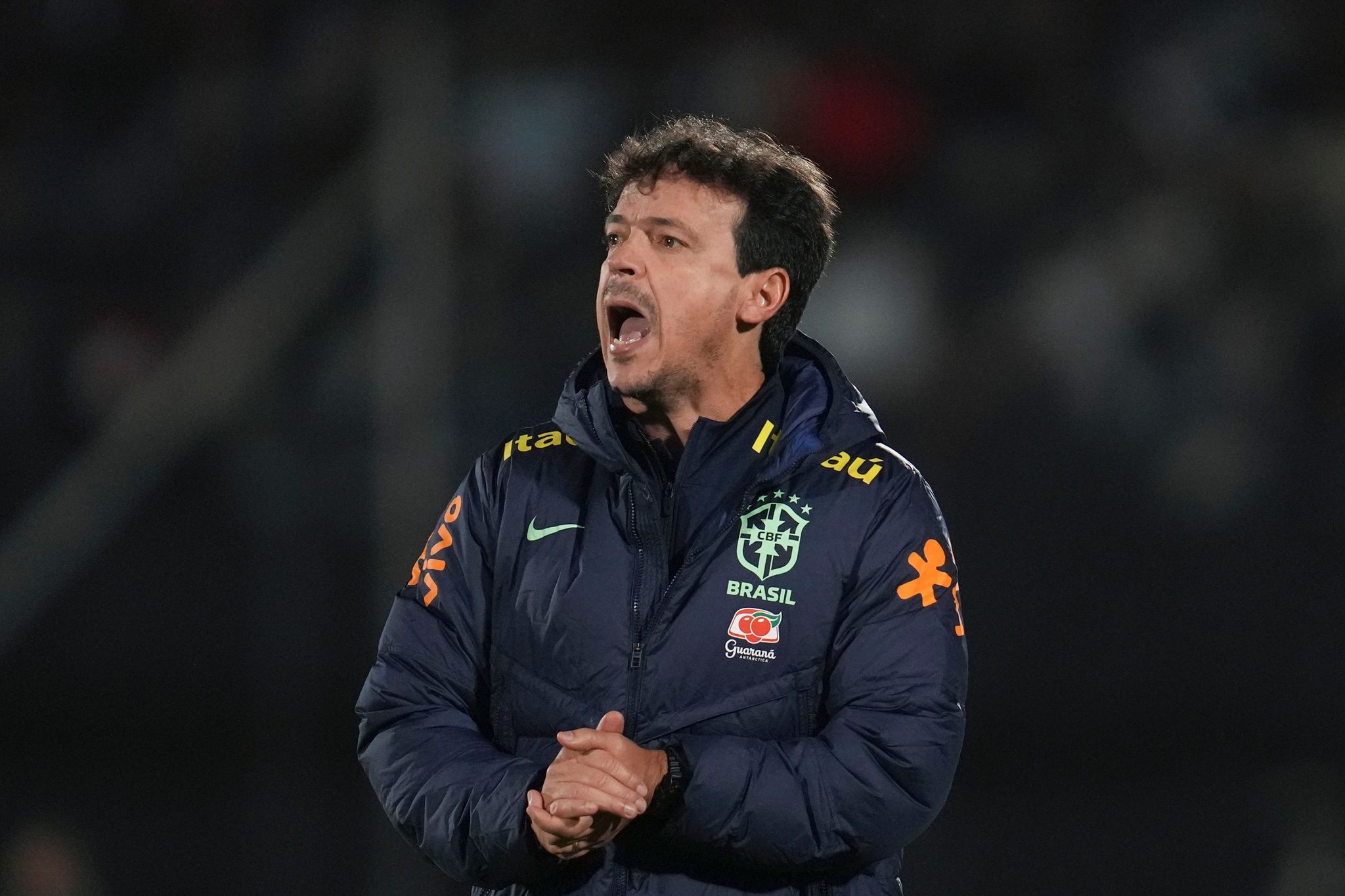 Medien: Brasilianischer Verband trennt sich von Coach Diniz