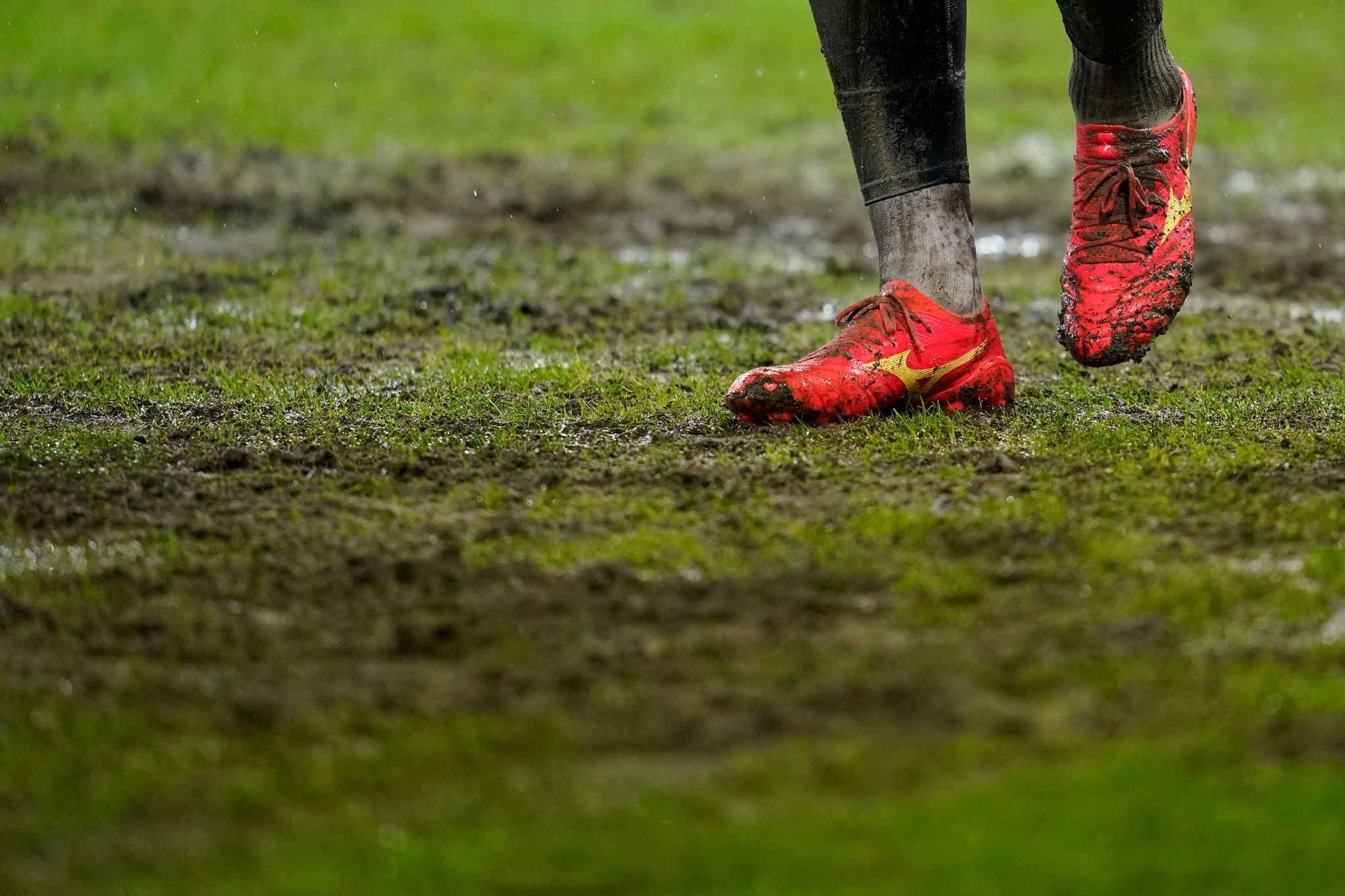 Neuer Rasen für Saarbrücker Ludwigsparkstadion