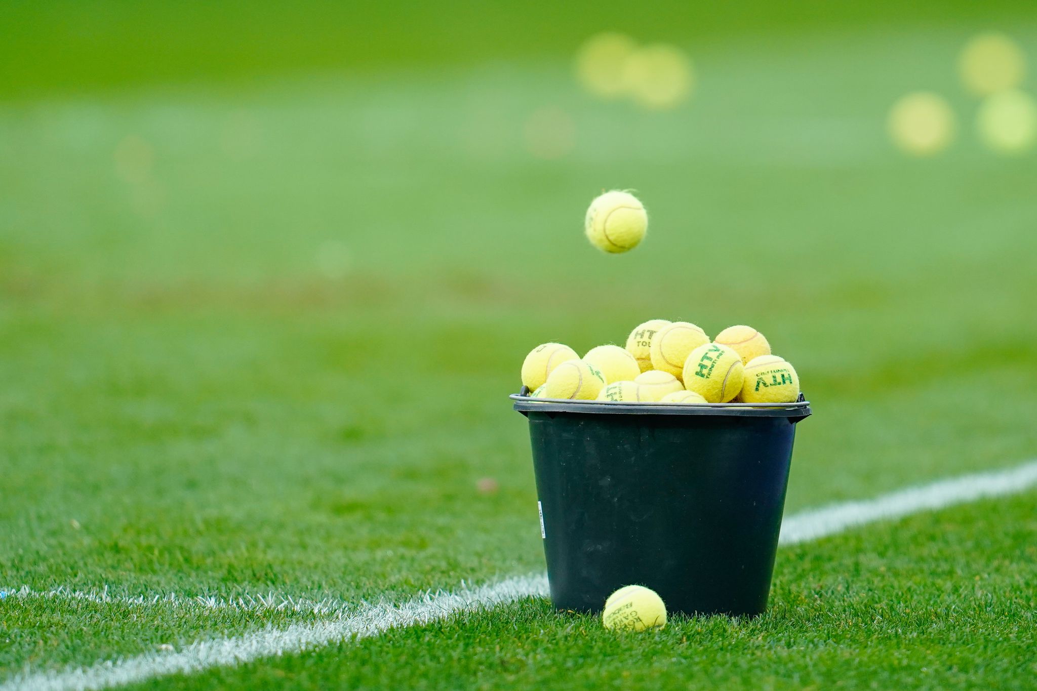 Fanproteste: VfL Wolfsburg spendet Tennisbälle an Kitas
