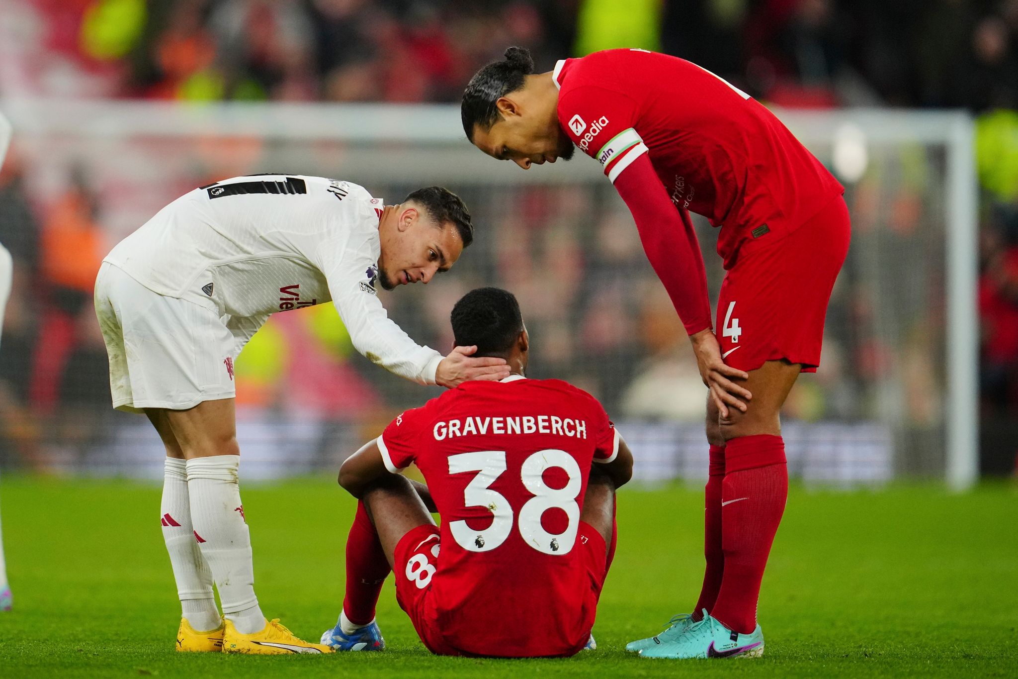 Verletzungspech bei Liverpool: Gravenberch fällt wohl aus