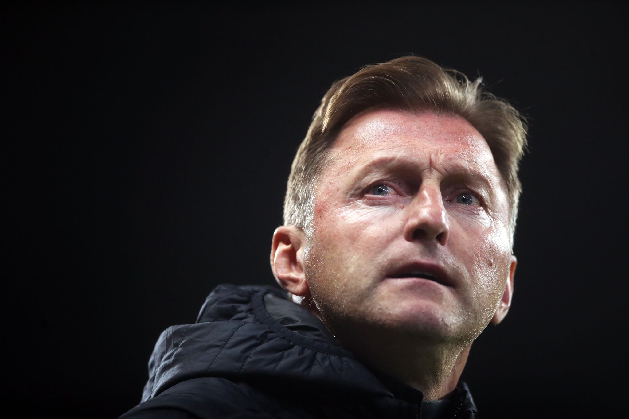 Medien: Hasenhüttl soll neuer Trainer in Wolfsburg werden