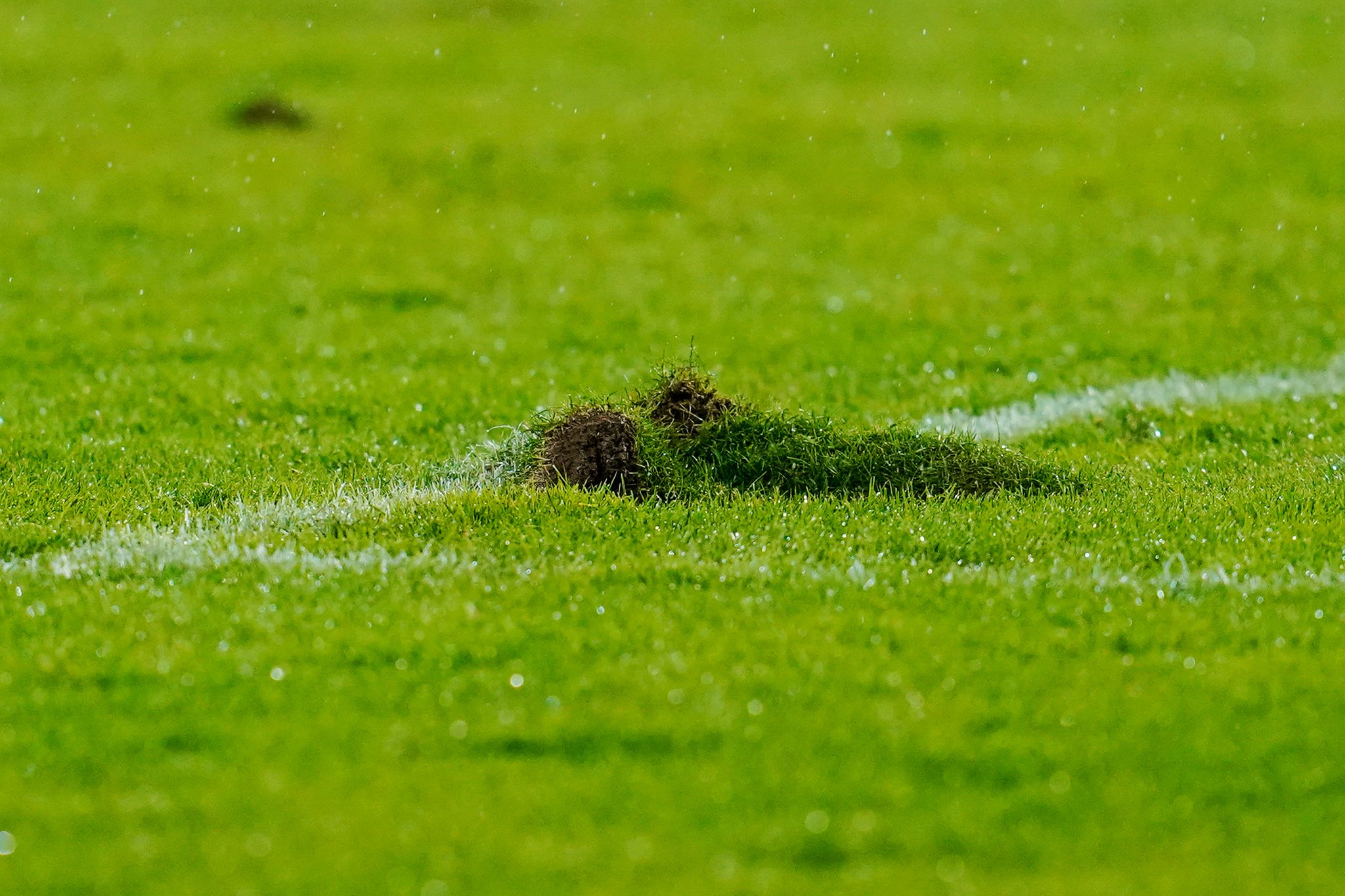 Halbfinale in Saarbrücken: Rasen und Wetter im Fokus