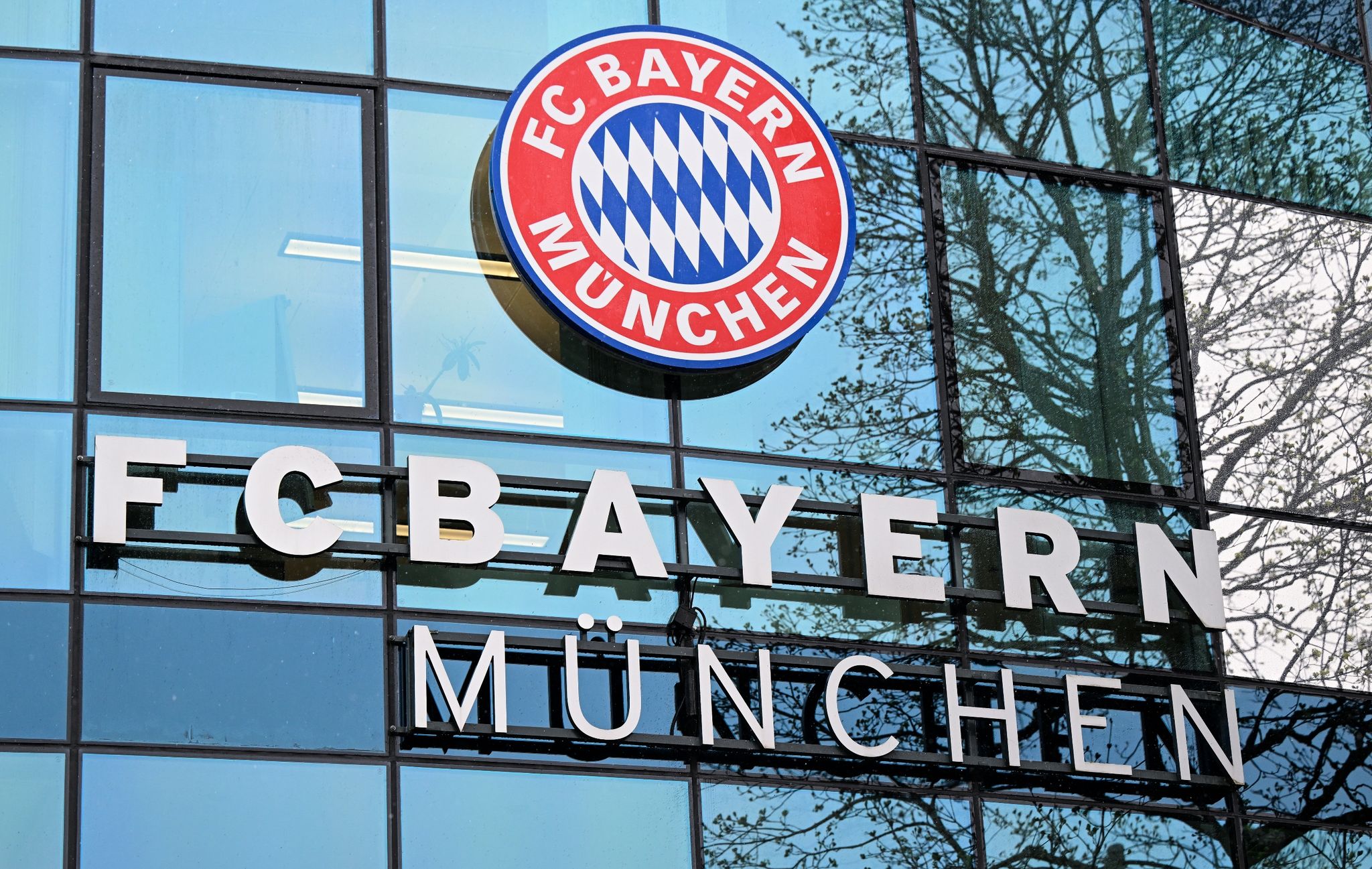 Medien: Bayern und Haching kooperieren bei Talenteförderung