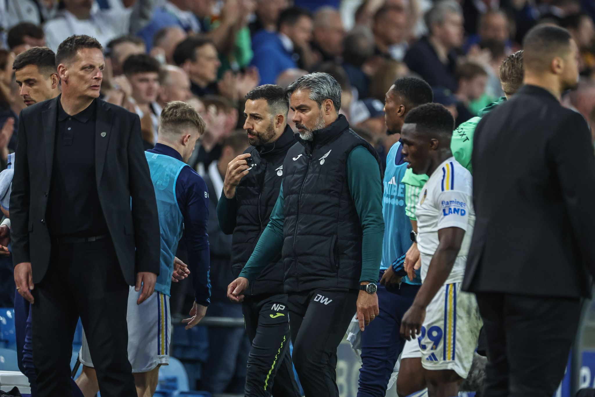 Norwich City entlässt Trainer Wagner nach Aufstiegs-K.o.