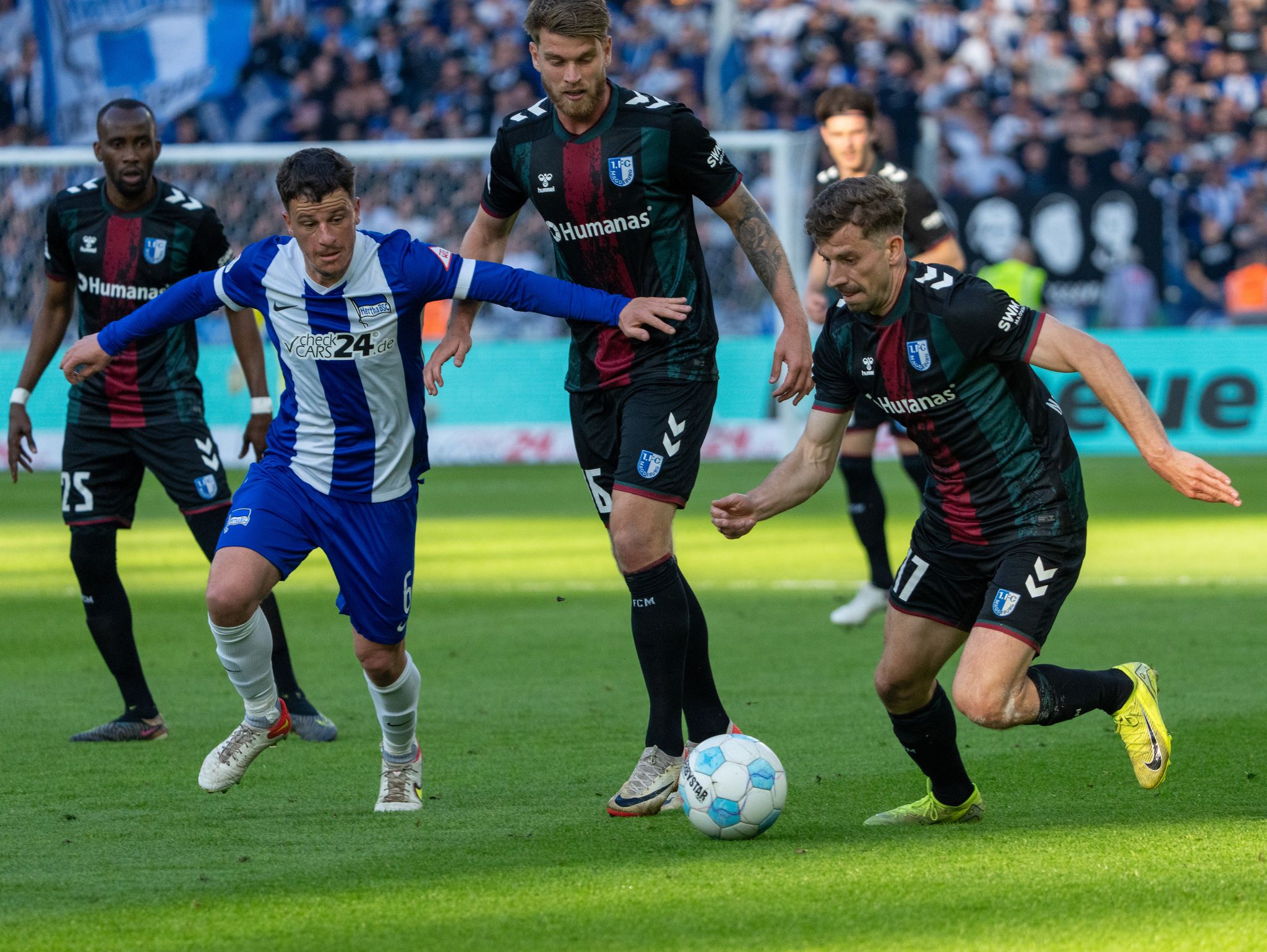 1:1 bei Hertha: Magdeburg patzt im Aufstiegsrennen