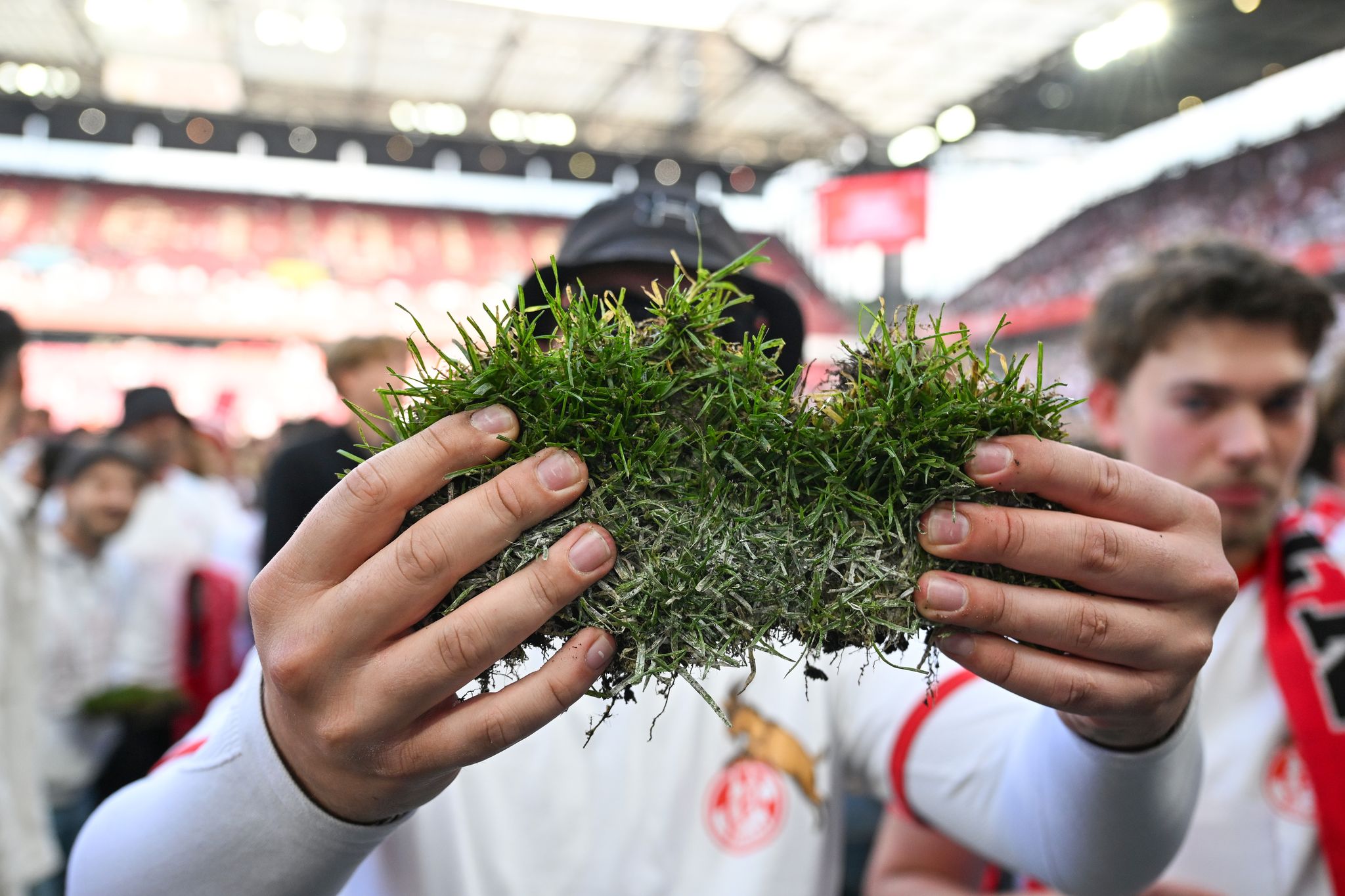 Fans verkaufen Kölner Aufstiegsrasen im Internet