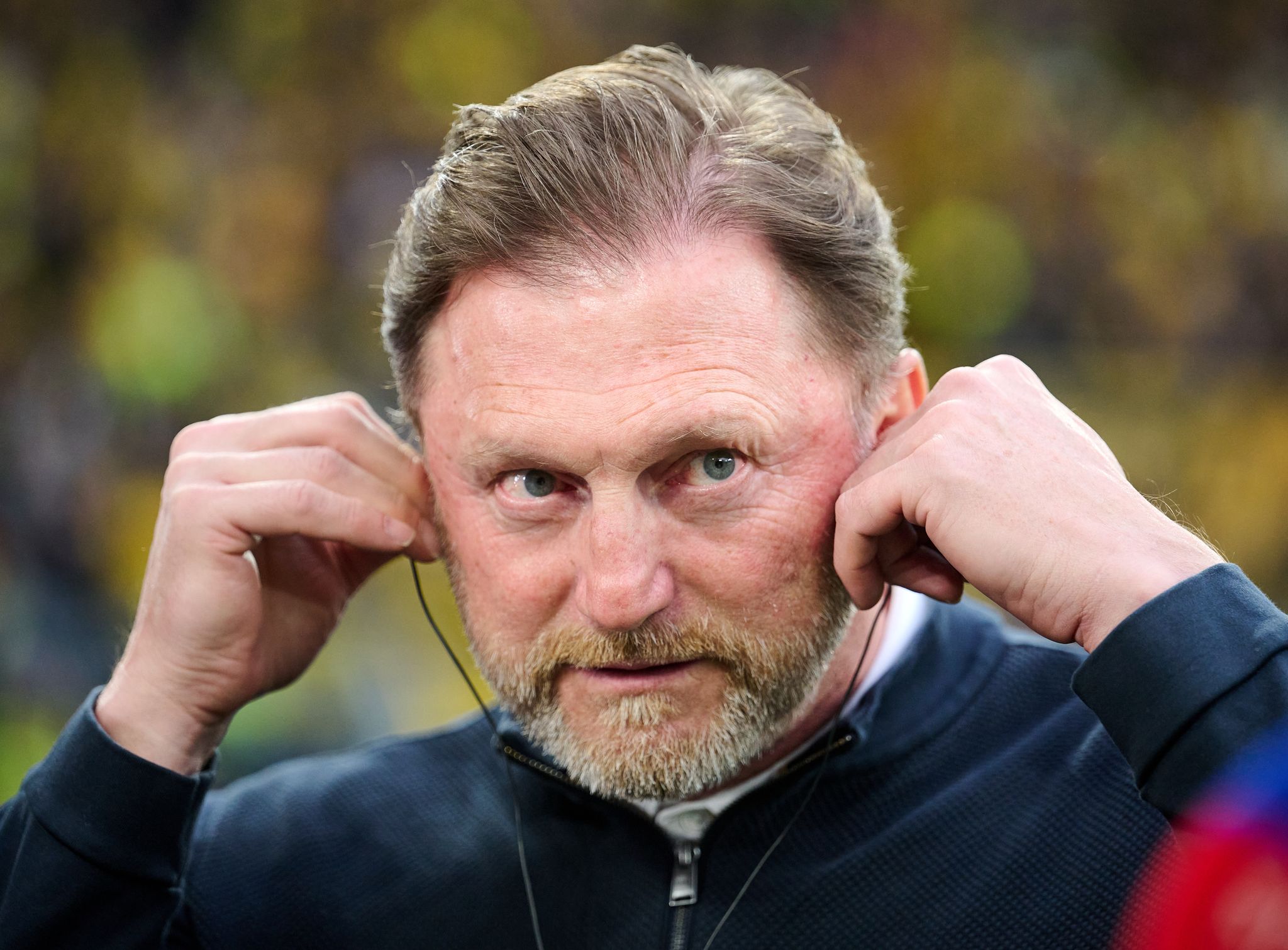 Medien: Wolfsburgs Trainer Hasenhüttl vor dem Aus