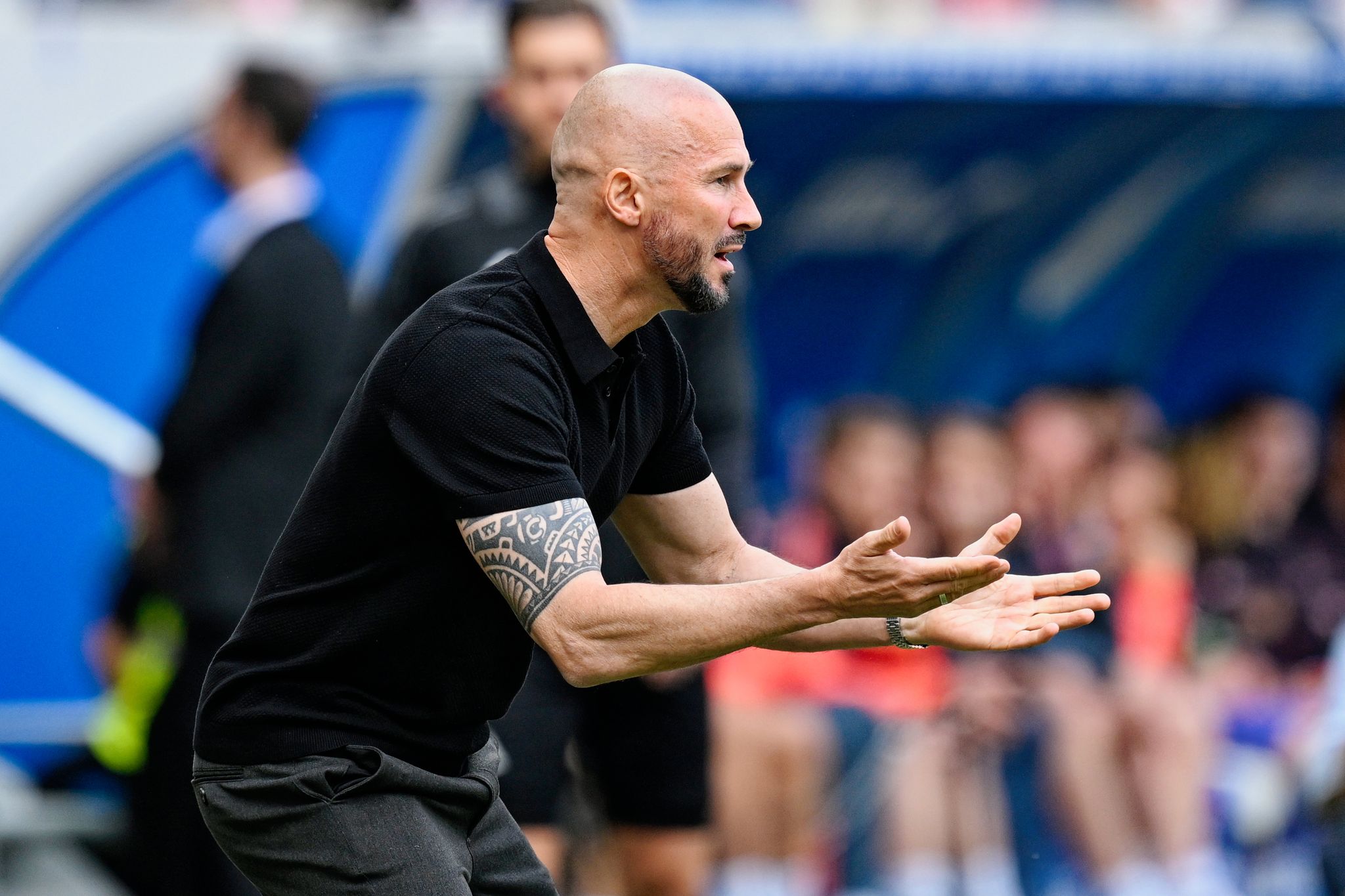 Trotz Grusel-Saison: Ilzer bleibt Hoffenheim-Trainer