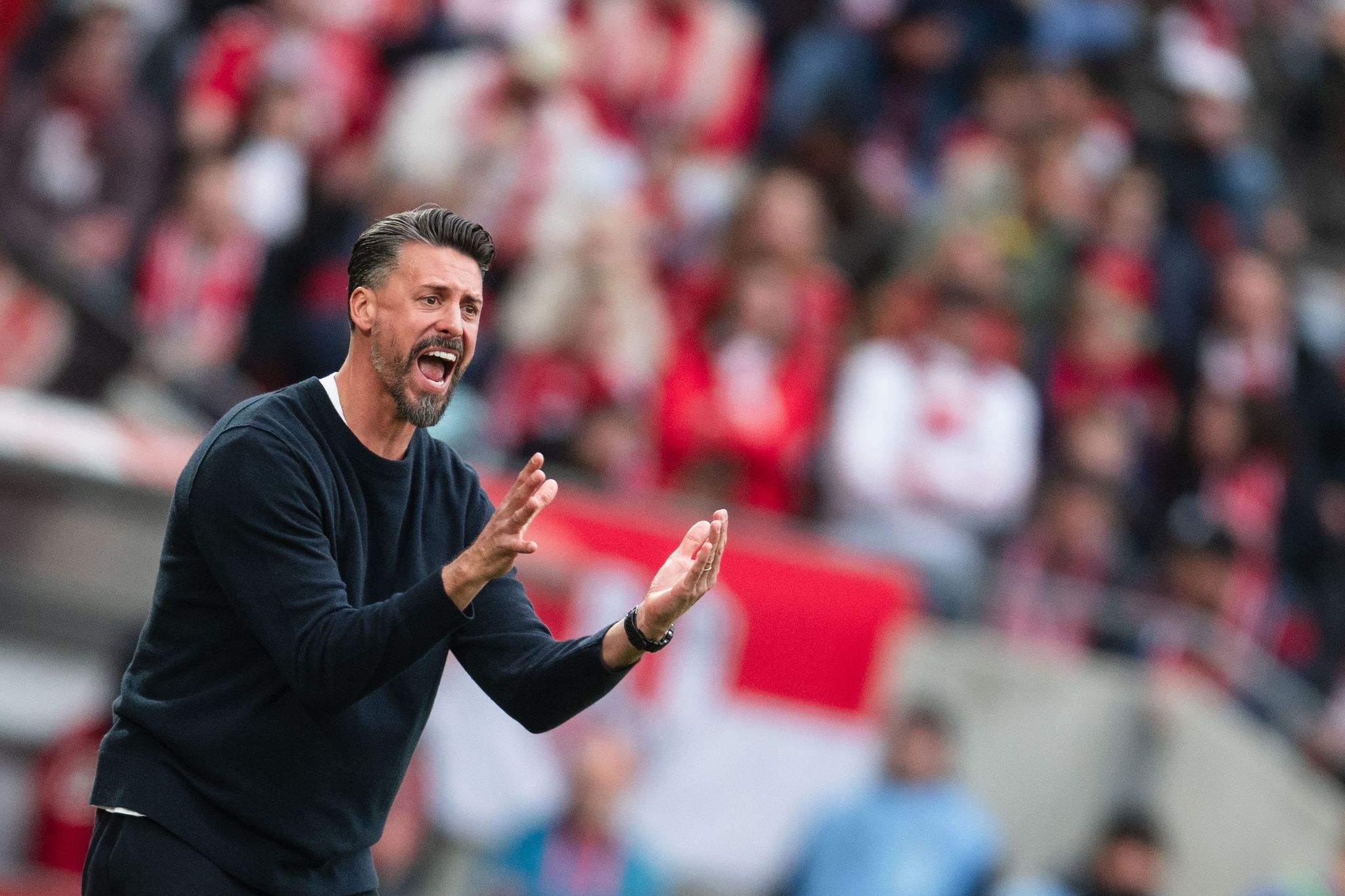 Wegen Gelber Karten: Augsburg-Trainer Wagner ruft bei DFB an